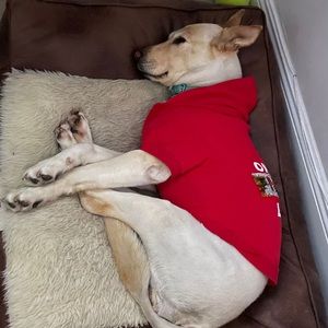 Meet your Posher, Lorena